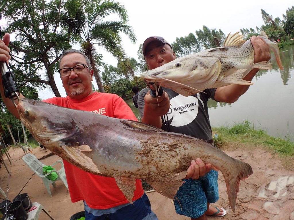 タイでアマゾンの魚を釣る